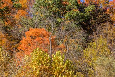 IMG_3616_edited-2.jpg