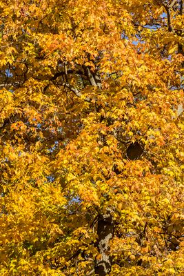 IMG_3640_edited-2.jpg