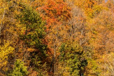 IMG_3624_edited-2.jpg