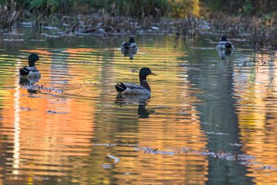 IMG_3759_edited-2.jpg
