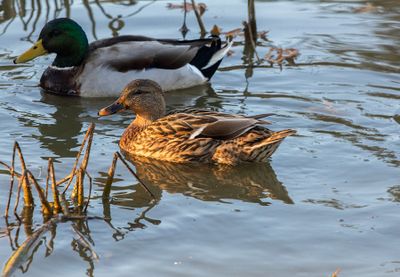 IMG_3771_edited-3.jpg