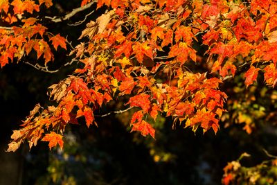 IMG_3741_edited-2.jpg