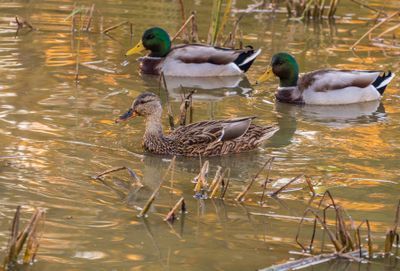 IMG_3706_edited-2.jpg