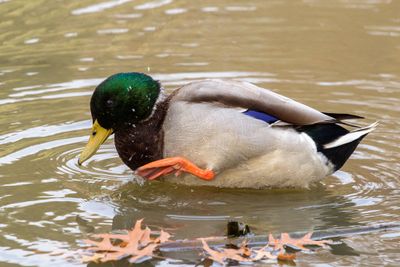 IMG_3466_edited-2.jpg