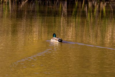 IMG_3635_edited-2.jpg