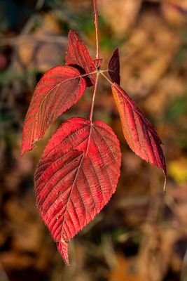 IMG_3781_edited-2.jpg