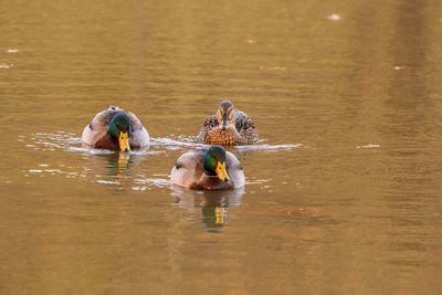 IMG_3829_edited-3.jpg