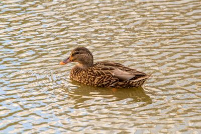 IMG_3784_edited-2.jpg