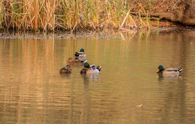 IMG_3814_edited-2.jpg