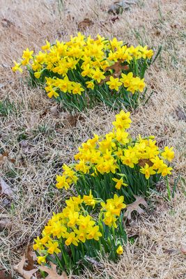 IMG_3894_edited-2.jpg