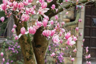 IMG_4115_edited-3.jpg