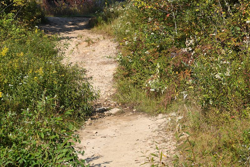 DSC_5340.jpg