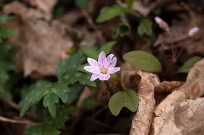 DSC_9039.jpg
