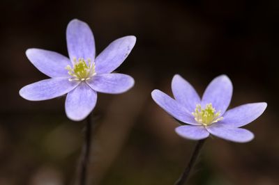 DSC_9138.jpg