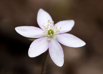 DSC_9175.jpg