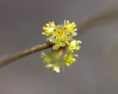 DSC_9287.jpg