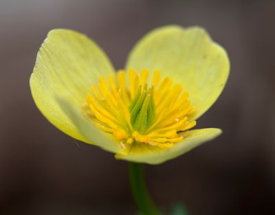 DSC_2826.jpg