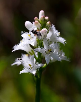 DSC_5412.jpg
