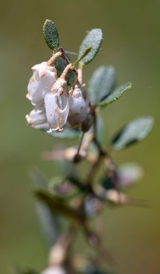 DSC_5456.jpg