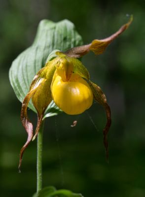 DSC_6407.jpg