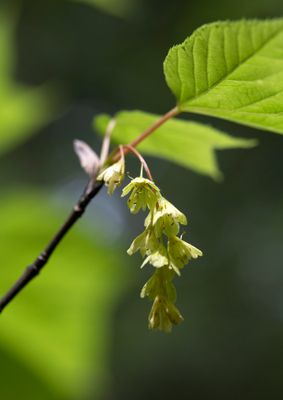 DSC_6115.jpg