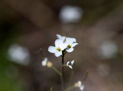 DSC_5916.jpg
