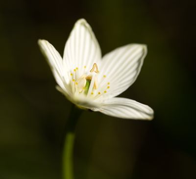 DSC_9940.jpg
