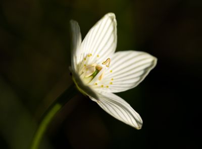 DSC_9953.jpg