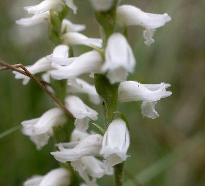 DSC_4682.jpg
