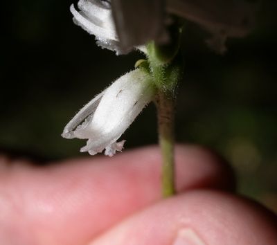 DSC_4756.jpg
