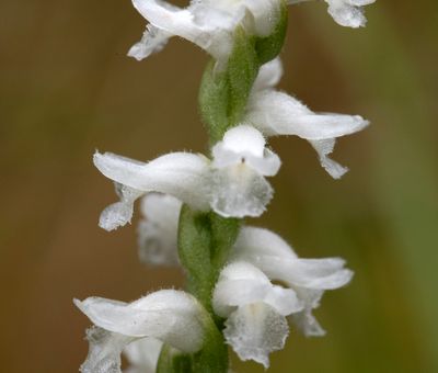 DSC_6814.jpg