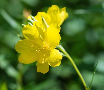 DSC_6085www.jpg