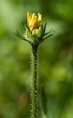 DSC_6103www.jpg