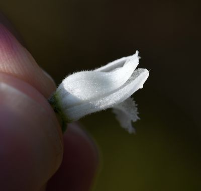 DSC_5399.jpg