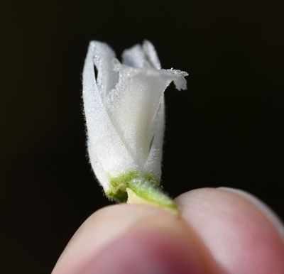 DSC_5403.jpg