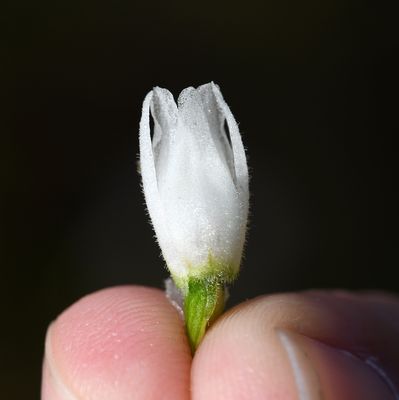 DSC_5409.jpg