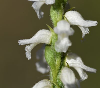 DSC_5493.jpg