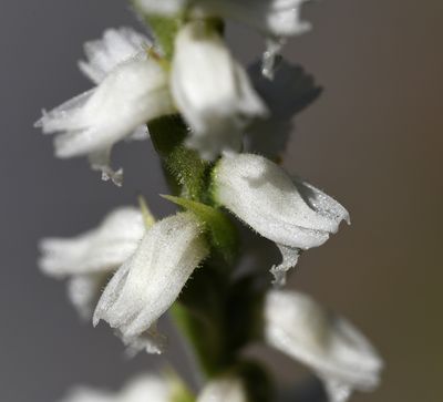 DSC_5519.jpg