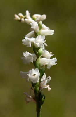 DSC_9639.jpg