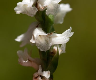 DSC_9661.jpg