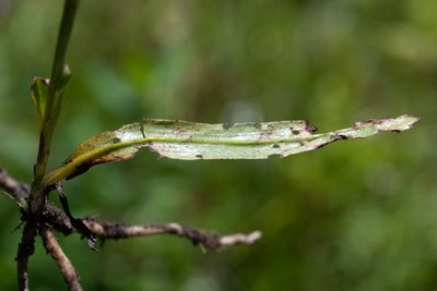 DSC_9670.jpg