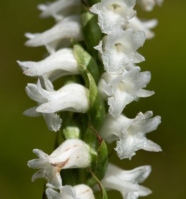 DSC_9754.jpg