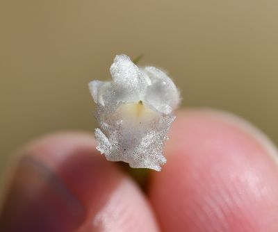 DSC_5641.jpg