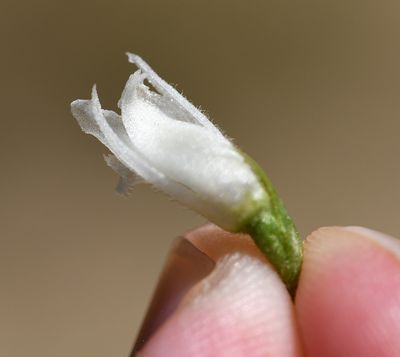DSC_5653.jpg