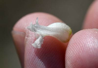 DSC_5729.jpg