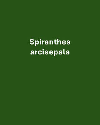 Indiana County - YCSP