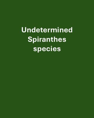 Cambria County - GTTB