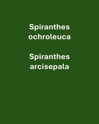 93