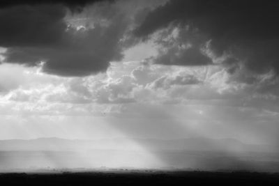 Vale Light
