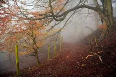 Archway